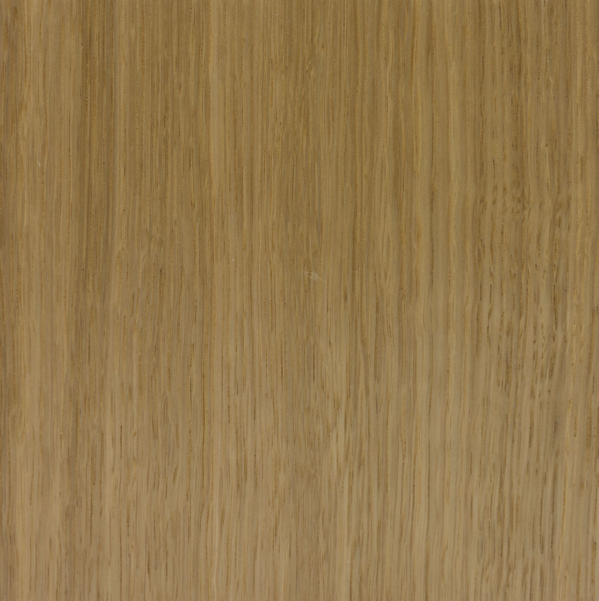 Quarter Cut European Oak veneer